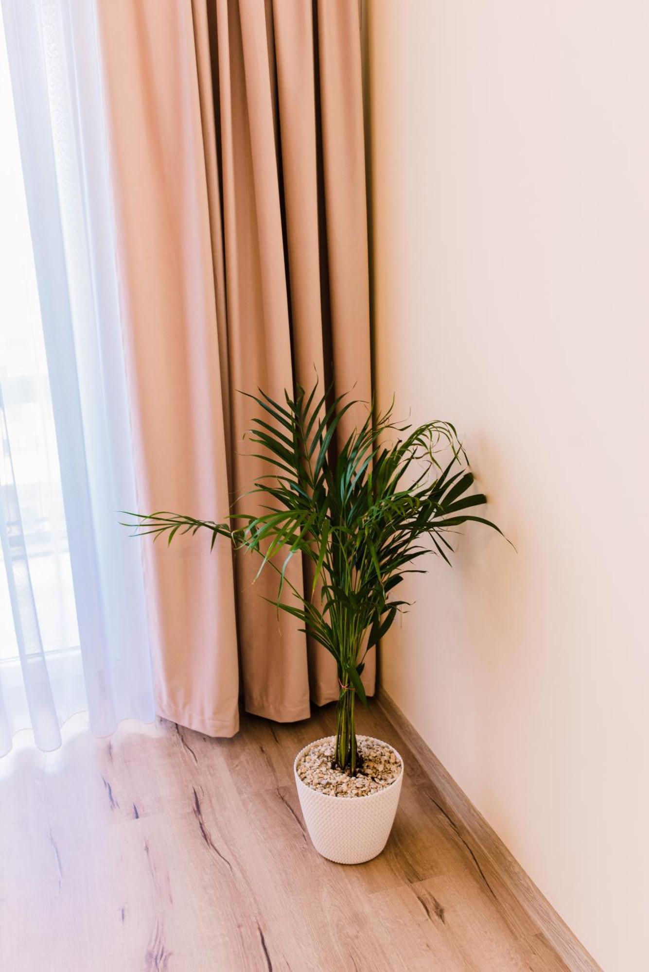 Central White Apartment Satu Mare Zewnętrze zdjęcie