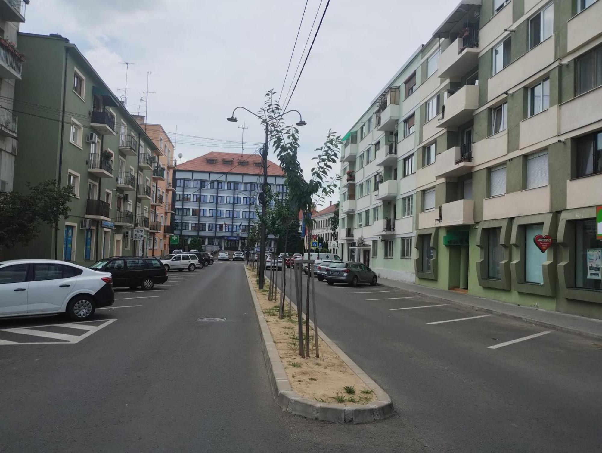 Central White Apartment Satu Mare Zewnętrze zdjęcie